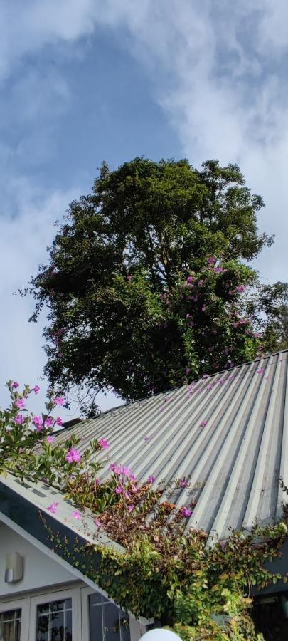 Munnar Tea Hills Resort - Mthr Esterno foto