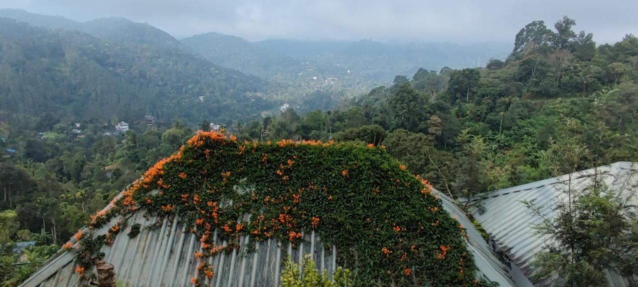 Munnar Tea Hills Resort - Mthr Esterno foto