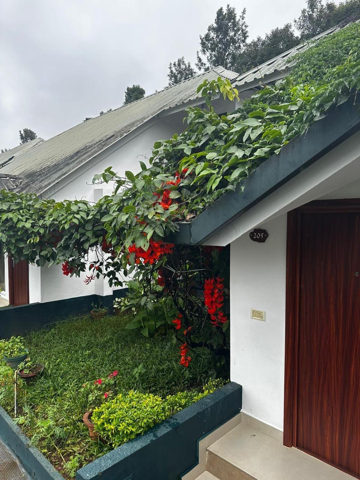 Munnar Tea Hills Resort - Mthr Esterno foto